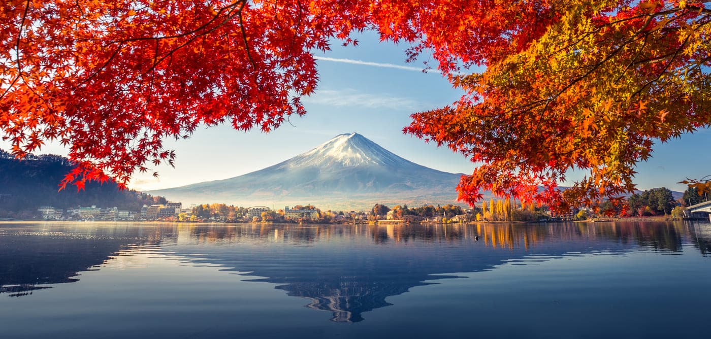 Mt Fuji view