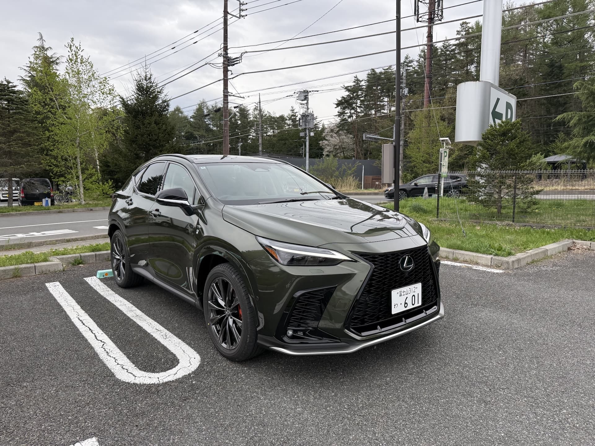 TOYOTA(Luxury line' / NX 250h (2025 New Car)