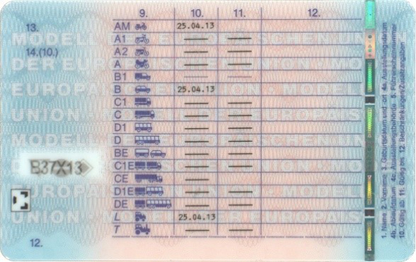 Reverso de un permiso de conducir alemán, muestra pública